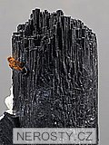 skoryl, albit