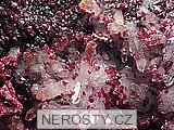 rozelit, wendwilsonit